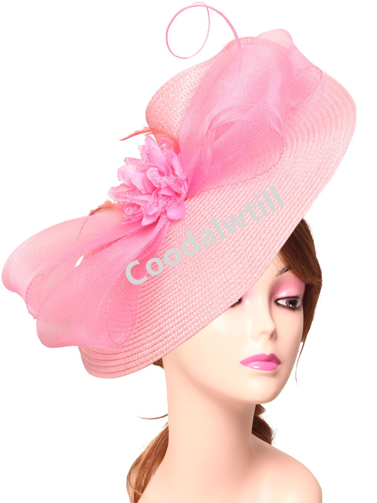 Elegant Tea Party Fascinator P - Women'S Fashion Kentucky Derby review and price