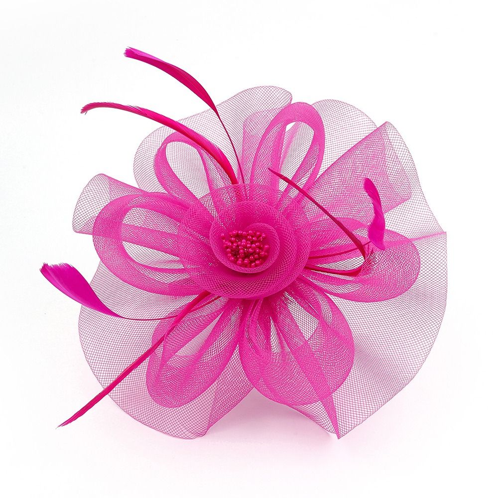 Feathers Ribbon Fascinator Hat - Women'S Fashion Kentucky Derby review and price