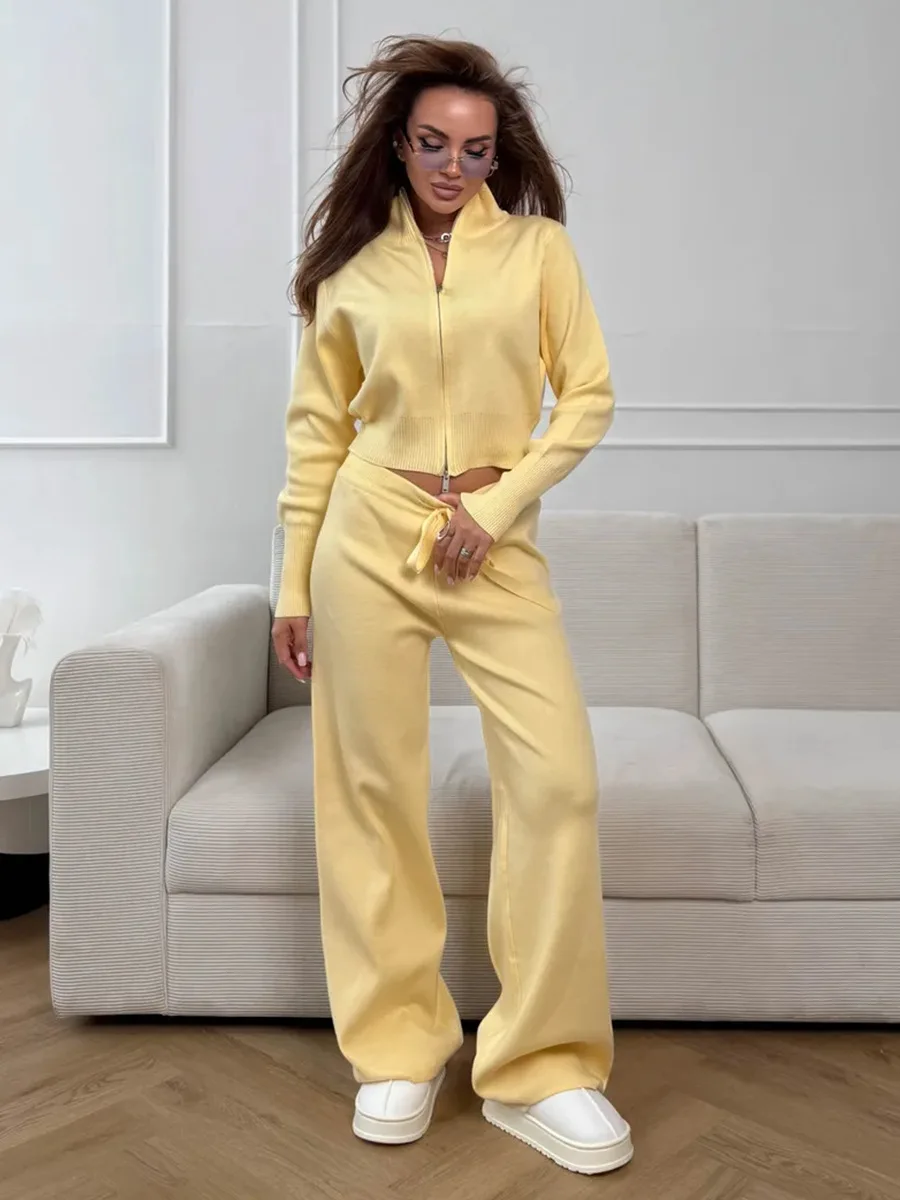 Wolfeel  New Autumn Winter Zip - Wide Leg Palazzo Pants review and price
